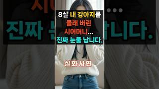 ㅣ실화사연ㅣ8살 내 강아지를 몰래 버린 시어머니... 진짜 눈물 납니다. #실제상황 #오디오북#노후#인생#가족#막장드라마#시어머니#감동사연#에로부부#라디오썰#결혼#실제사연