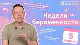 5 неделя беременности что происходит с плодом и что чувствует женщина, правильное питание, симптомы