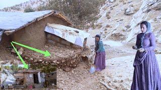 What an amazing mother: she defends her hut during a stormy winter