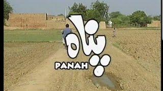 Jag Beeti Punjabi Drama |Panah|Ptv National