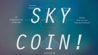 Skycoin: A Power Crypto-Currency Creating A Decentralized Internet!