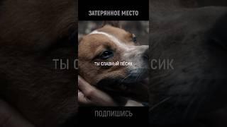 Чтобы выжить пришлось пожертвовать собакой  МОМЕНТ ИЗ ФИЛЬМА "Затерянное место" / ЧТО ПОСМОТРЕТЬ