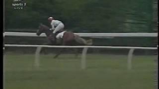 1997 Interlink Express Restricted Point-to-Point Final Novices' Hunters' Chase