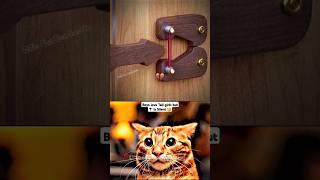 DAY-3 OHIO DOOR LOCK   #funny #cat #memes