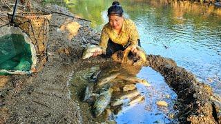 Technique catch fish, lucky single girl meets giant school of carp - Hoàng Thị Thơm