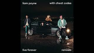 Liam Payne - Live Forever (R3HAB Remix)