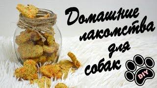 ДОМАШНИЕ ЛАКОМСТВА ДЛЯ СОБАК | ВКУСНЯШКИ СВОИМИ РУКАМИ