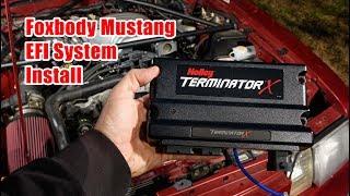 Foxbody Mustang Holley Terminator X Install