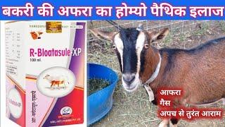 R Bloatasule XP | बकरी की अफरा का होम्यो पैथिक इलाज | Bakri ke afra ki homeopathic dawa #बकरीकाइलाज