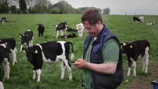 Herdwatch app user review: I don't think any farmer can do without it