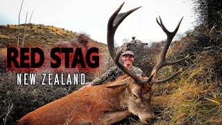 Hunting The RED DEER! (New Jersey to New Zealand)