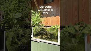 Outdoor Aquaristik 2024