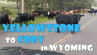 Route from Yellowstone to Cody, Wyoming