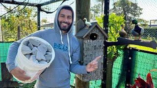 New NEST BOX For My AVIARY + REDECORATING My Pond!