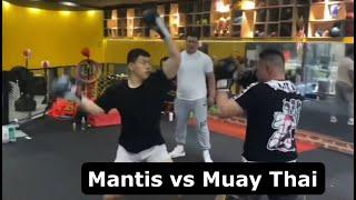 Mantis Kungfu Dojostorms Muay Thai Influencer