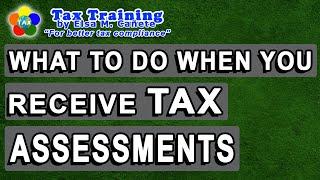 What To Do When You Receive Tax Assessments