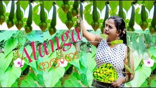 alanga/ආලංගා/rare food/rare vegitable/srilankan alanga/srimali happy home