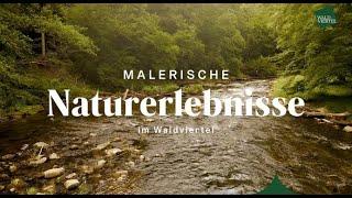 Malerische Naturerlebnisse im Waldviertel