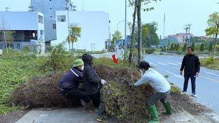 Gym teacher stunned to discover giant roll of grass in his neighborhood