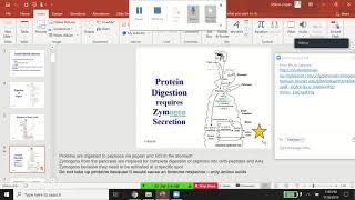 MFM I Exam 6 Pt 1 Review