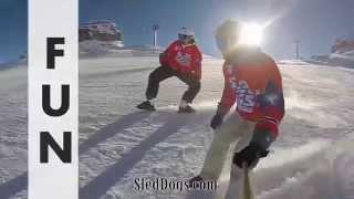 Sled Dogs Snowskates - New sport on the slopes!