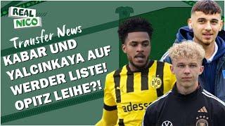 U17 Weltmeister zu Werder? / Opitz Leihe? / Neuer Spielplan