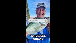 Catch More Crappie Below Dams! Top Tailrace Fishing Tips with Capt. Josh Antwine