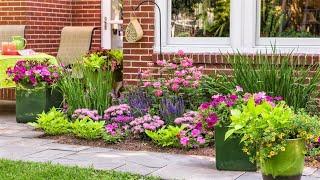 Идеи для дизайна садового участка / Ideas for the design of the garden plot