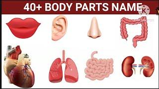 40 Body Parts Name in English |Body parts name |Body parts vocabulary #ESL #Vocabulary #learnenglish