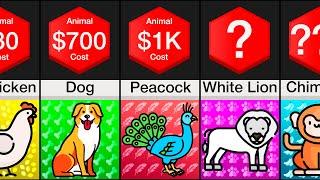 Price Comparison: Animals