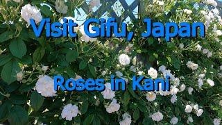 Visit Gifu #9 Roses in Kani