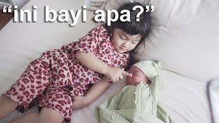 REAKSI ANAK PERTAMA LIAT ADEK BAYI NYA