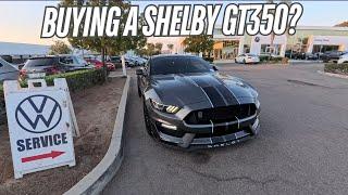 Checking Out a GT350 for the First Time! Did I Make the Purchase?