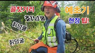 #칡넝쿨 덩굴 예초 팁 #조경과구들장 #귀농 #귀농귀촌 #귀촌 #예초기