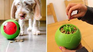 11 GADGETS INTELIGENTES PARA TUS MASCOTAS