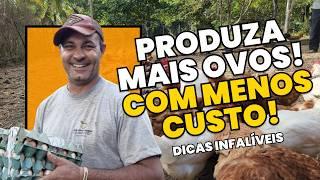 DICAS para AUMENTAR A PRODUÇÃO DE OVOS e REDUZIR CUSTOS: Transforme sua CRIAÇÃO DE GALINHAS!