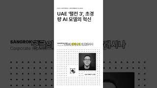 UAE '팰컨 3', 초경량 AI 모델의 혁신