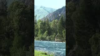 Chychkan River in Kyrgyzstan #travel #nature #mountains