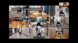 Learning to Walk by Steering: Perceptive Quadrupedal Locomotion in Dynamic Environments