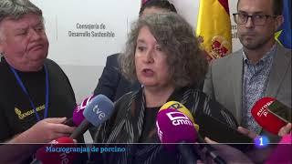 Fin de la moratoria a las macrogranjas porcinas en Castilla-La Mancha a partir de 2025