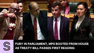 Fury in Parliament, MPs booted from House as Treaty Bill passes first reading | Stuff.co.nz