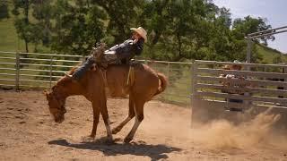 Slow Motion Bareback Bronc Rides - Mitchell Strawberry Roan