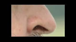 Celery Pines - 'Ugly Face' (Official Music Video)