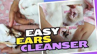 Cairan Pembersih Telinga Kucing Cara Mudah dan Efektif Cassiel Pet Ear Cleanser