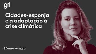 Cidades-esponja e a adaptação à crise climática | O ASSUNTO