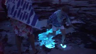 Bioluminescence explosion at Jervis Bay - January 2020