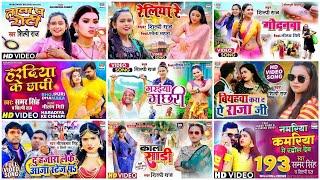 SHILPI RAJ SUPER HIT SONGS - Worldwide Records Bhojpuri ~ Bhojpuri Song 2023