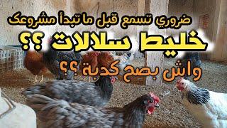 واش بصح خليط السلالات مجرد كدبة ؟؟