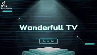 Wonderfull TV