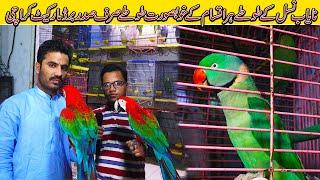 Exotic Parrots at Rozi Khan Birds Shop | Jamshed Asmi Informative Channel | In Urdu/Hindi